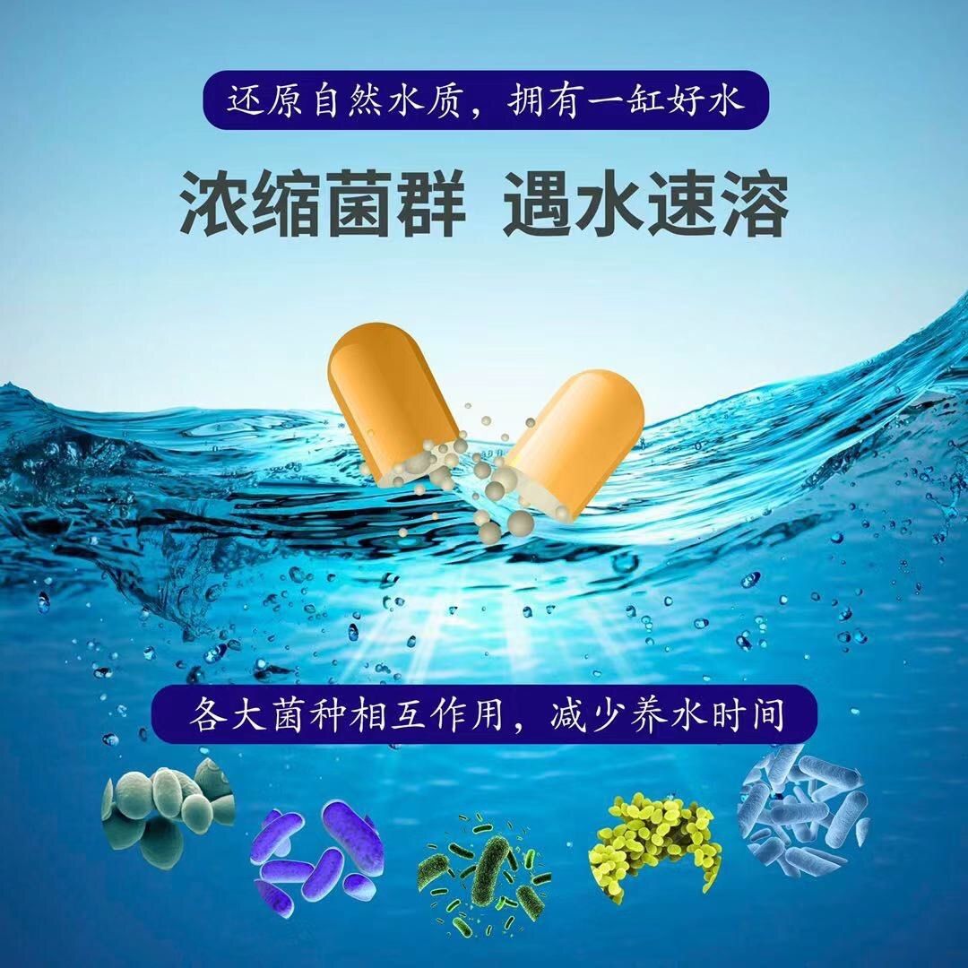 今天來一個體驗分享 觀賞魚論壇 第2張