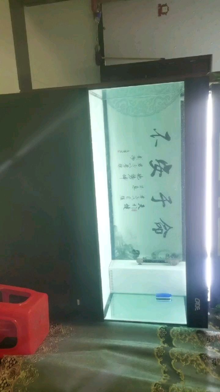 小紅龍送走了，開始養(yǎng)水， 觀賞魚論壇