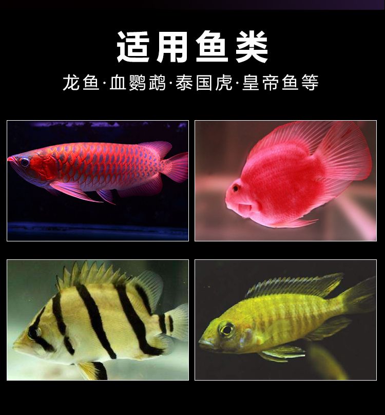 飼料怎么選？仟湖獨(dú)家誘食秘方了解一下 觀賞魚論壇 第6張