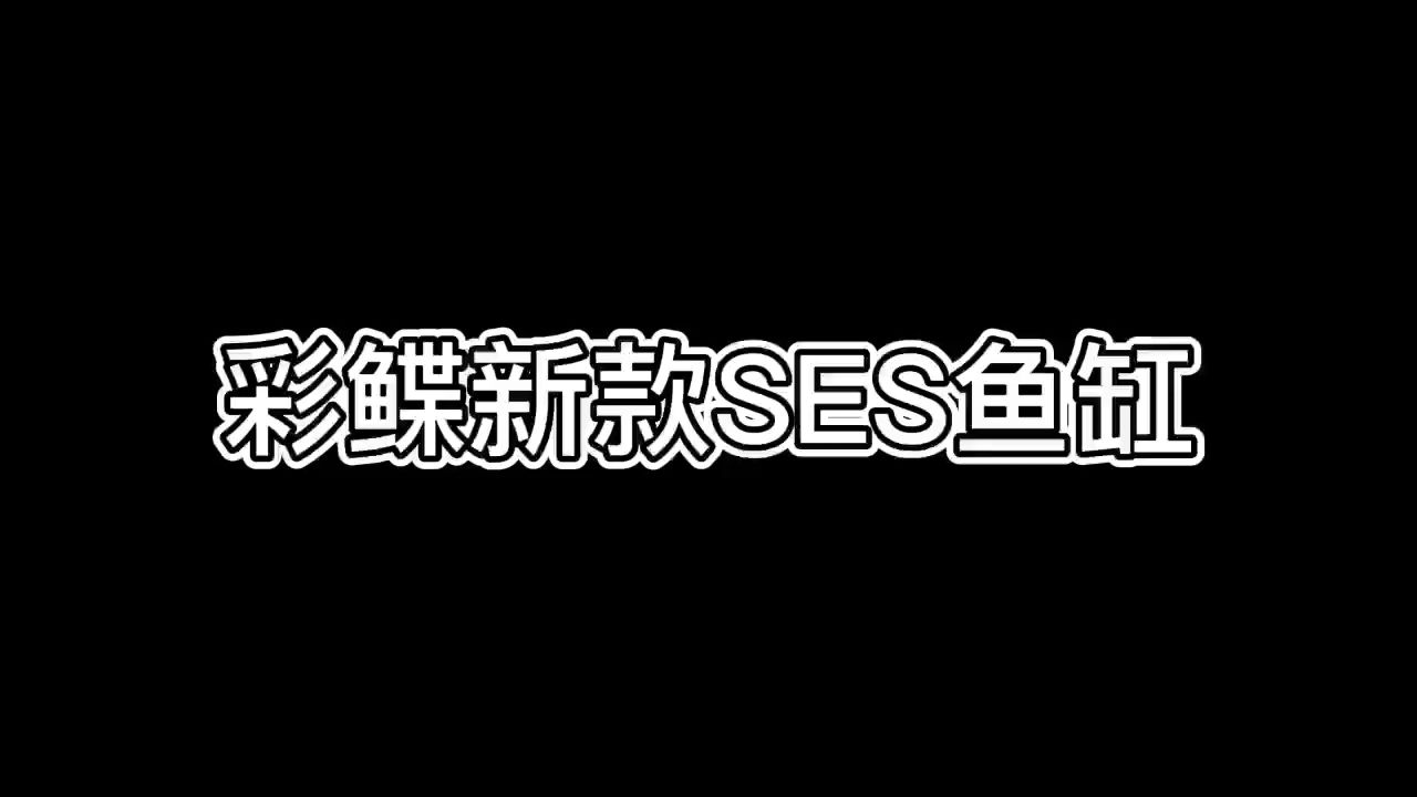 彩鰈新款SES魚缸 觀賞魚論壇