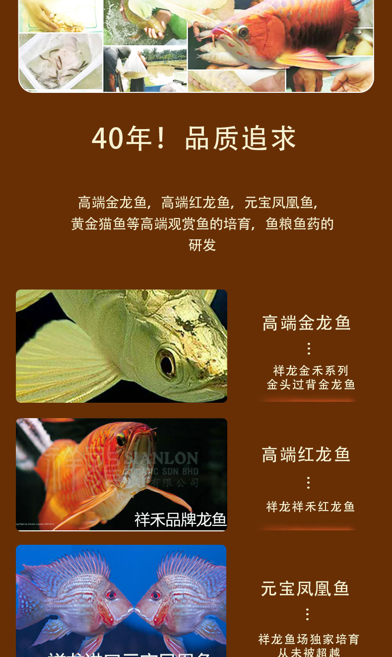 祥龍魚場產(chǎn)品廣告圖