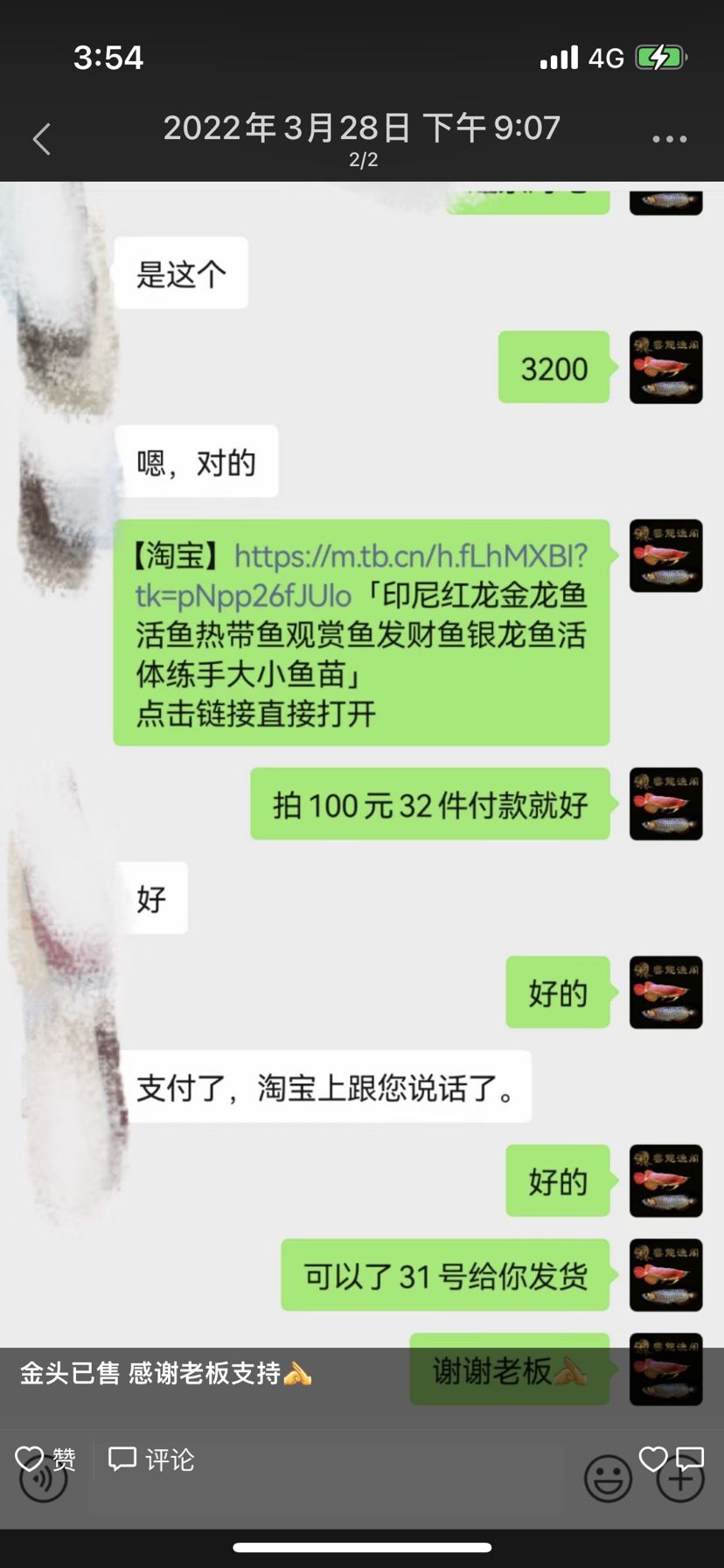 新手已入坑！3200元買了！希望平安歸來 觀賞魚論壇 第6張