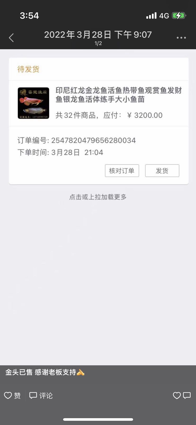 新手已入坑！3200元買了！希望平安歸來 觀賞魚論壇 第7張