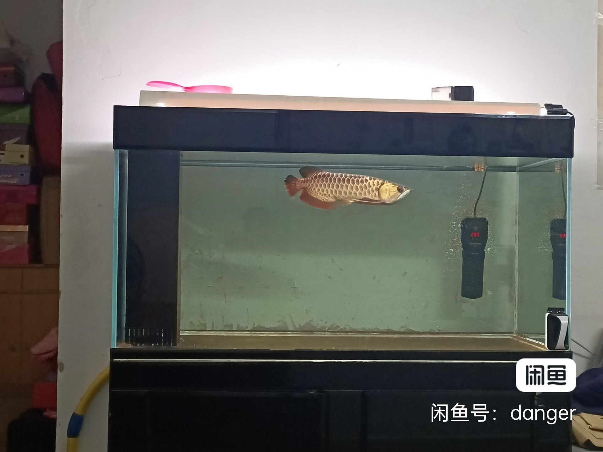 出1.3*0.7魚(yú)缸 觀賞魚(yú)論壇