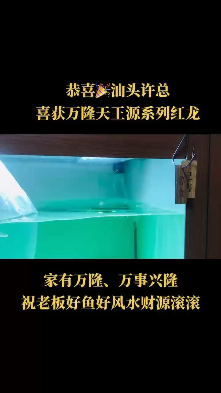 我們不一樣！ 觀賞魚論壇 第1張