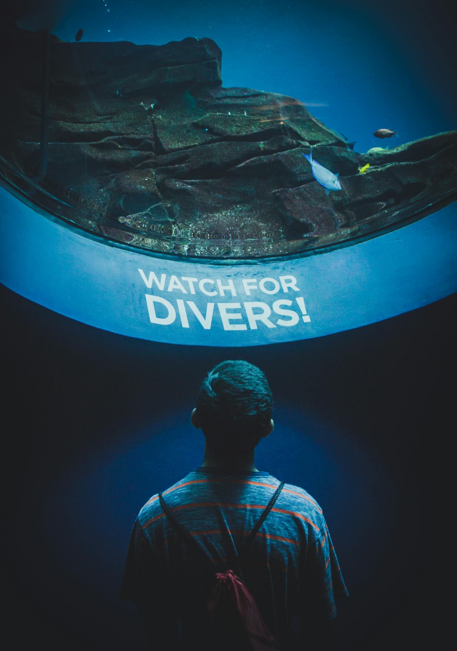 珠海魚缸龍魚世家水族館電話（ 珠海水族館 龍魚世家水族館口碑好）