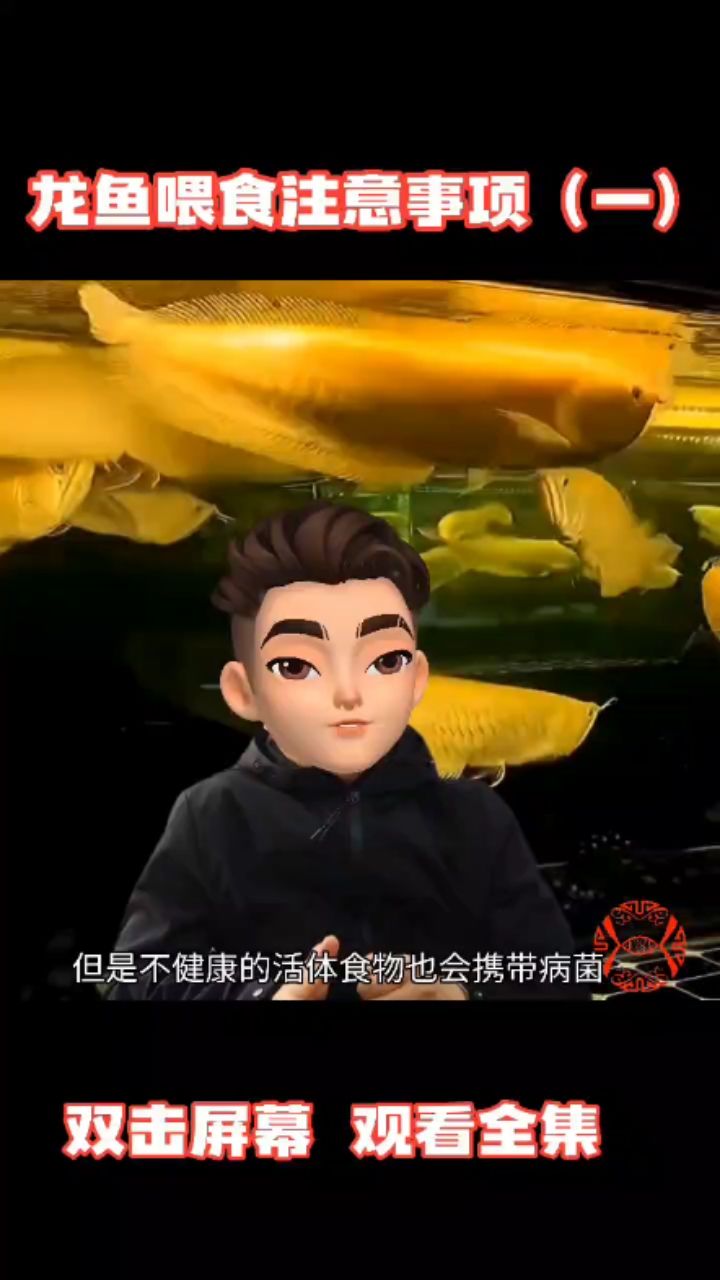 龍魚到底喂什么比較好（一） 觀賞魚論壇