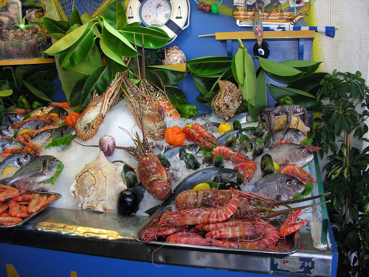 溧水哪里有賣魚缸的（溧水水族館市場在哪里）