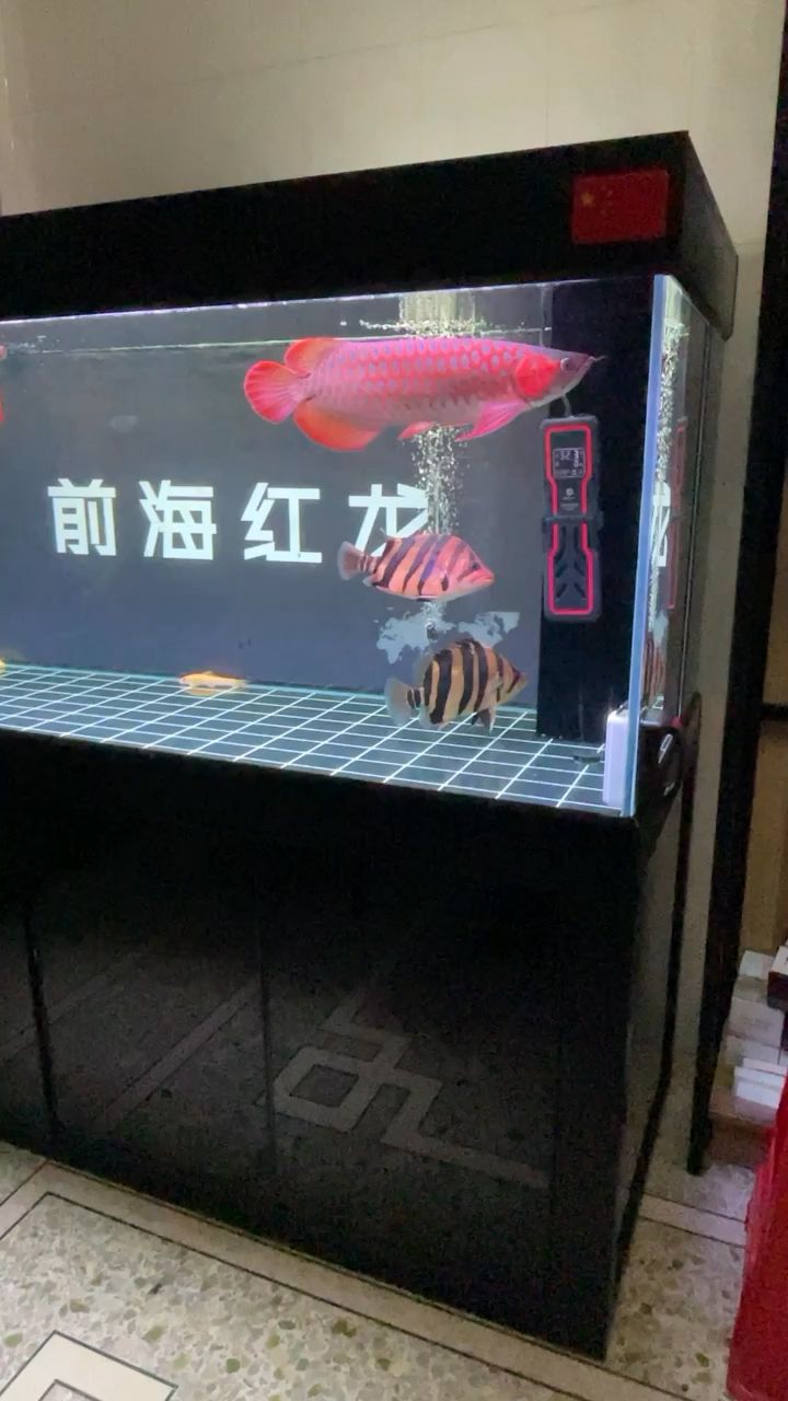 生活簡單點(diǎn)好 觀賞魚論壇