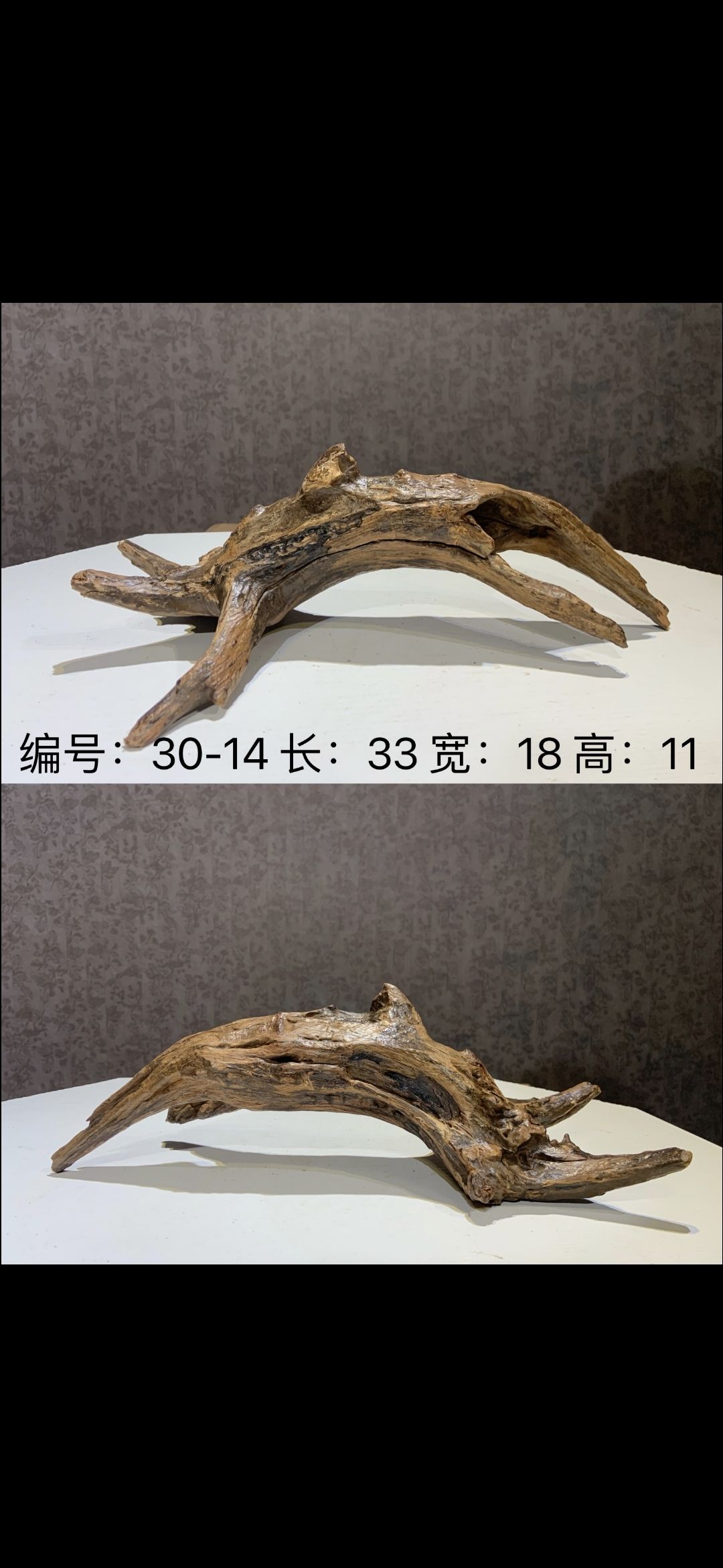 教大家認(rèn)識(shí)好沉木 觀賞魚論壇 第3張