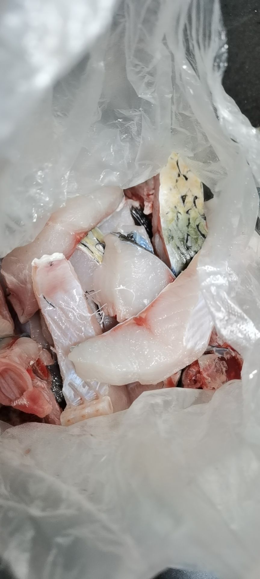 閩江魚缸增氧泵（魚缸里的增氧泵多少錢一臺） 其他品牌魚缸