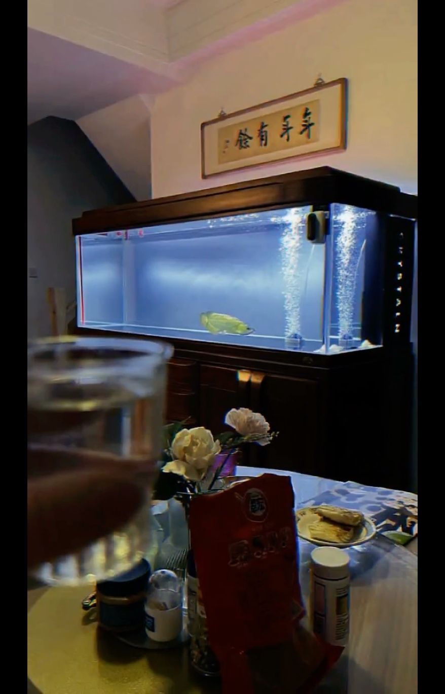 反硝化魚缸展示一下下啦 觀賞魚論壇