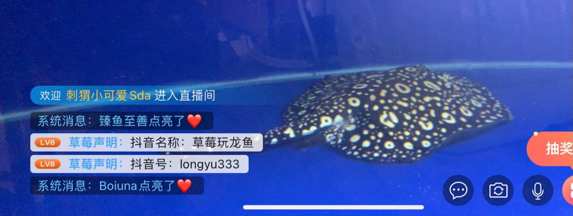 以魚會(huì)友 觀賞魚論壇 第3張