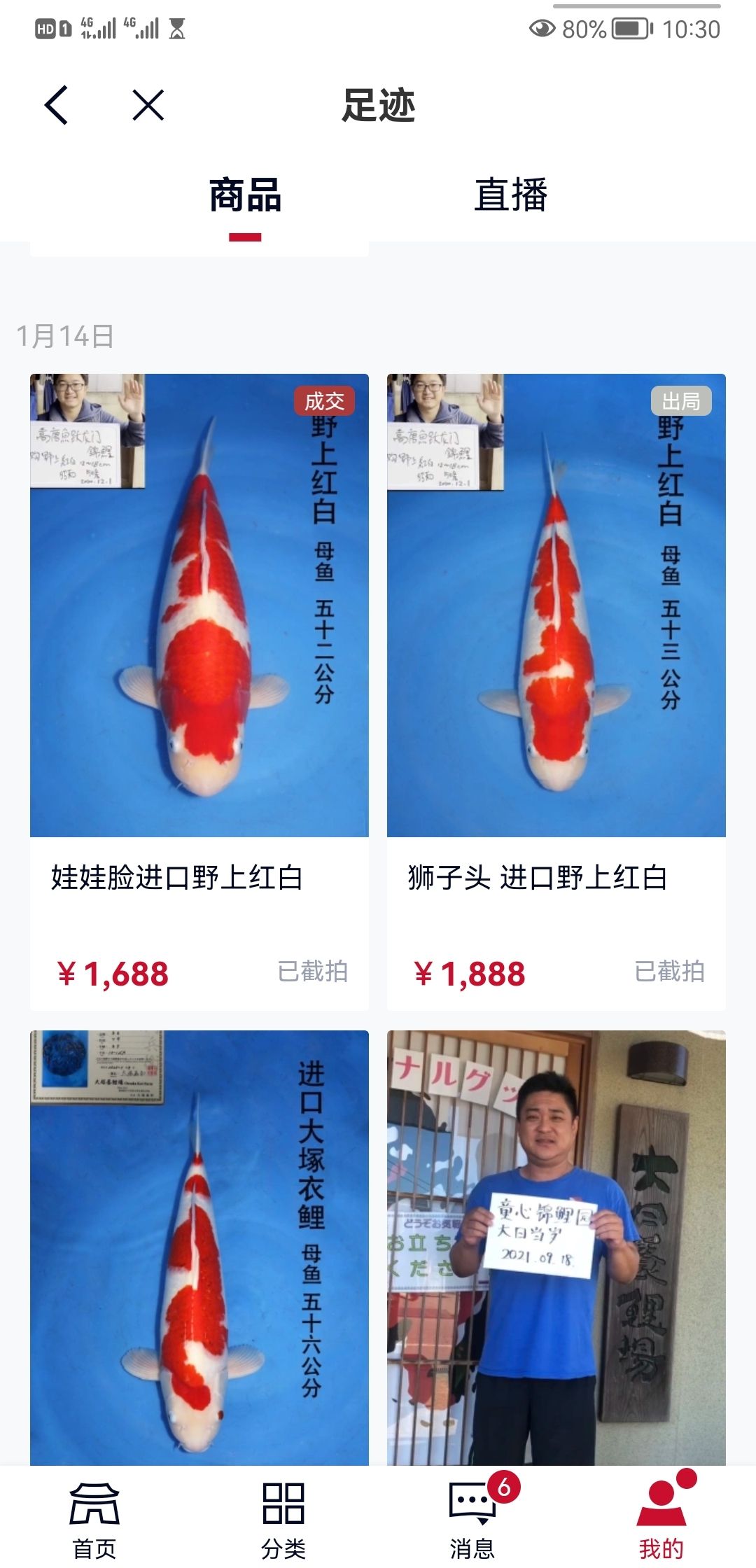 補(bǔ)發(fā)新魚 觀賞魚論壇 第1張