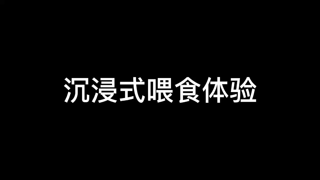 沉浸式喂食體驗(yàn) 觀賞魚論壇 第1張