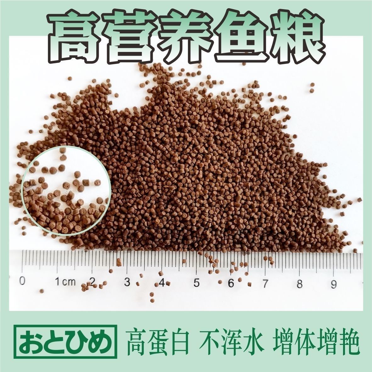 日清丸紅飼料 觀賞魚論壇 第4張