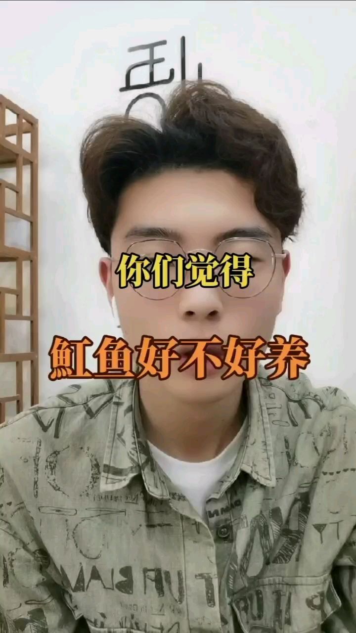 魚友們集合啦，魟魚干貨 觀賞魚論壇