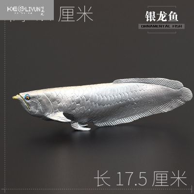 銀龍魚什么時(shí)候變銀色(銀龍魚什么時(shí)候變銀色了) 孵化器 第2張