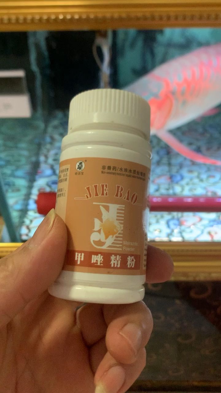 龍魚治療水泡癥用藥 觀賞魚論壇