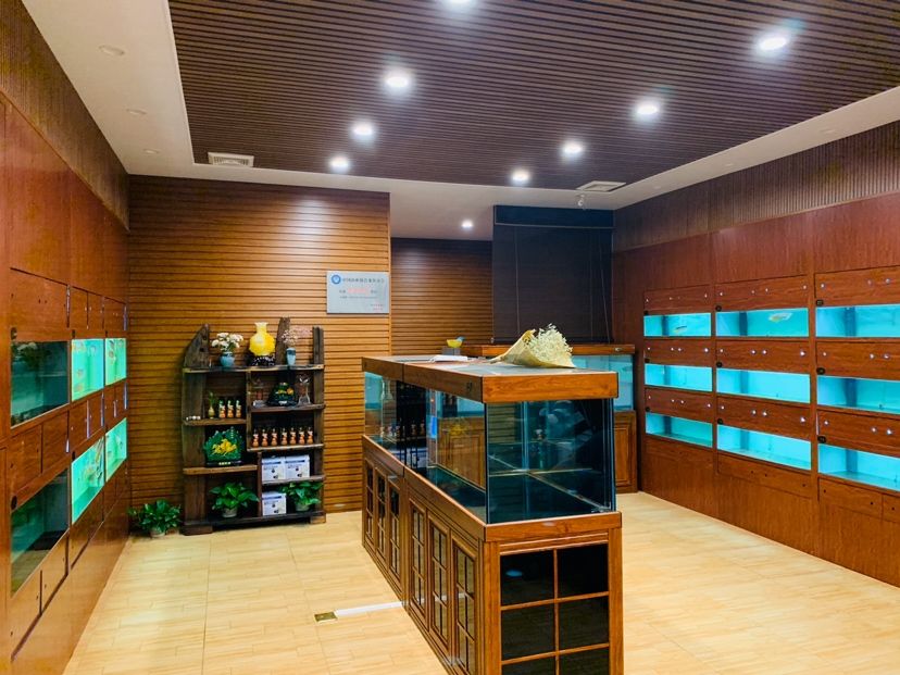 對(duì)比一下：老店新店 全國水族館企業(yè)名錄 第3張