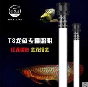 龍魚燈開多久合適