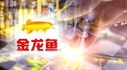 金龍魚為何大漲 龍魚百科