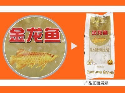 金龍魚產(chǎn)品展示圖 龍魚百科