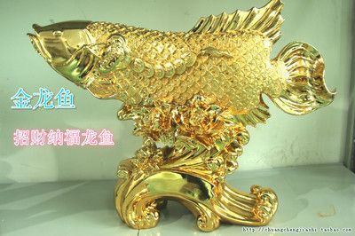 金龍魚飾品 龍魚百科