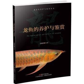 龍魚的鑒賞要點是什么意思 龍魚百科