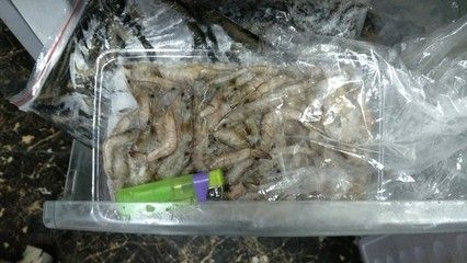 龍魚凍蝦能放多久啊