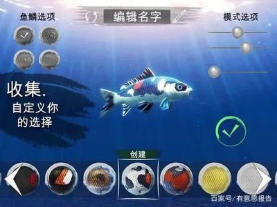 龍魚百科全書百度云 龍魚百科