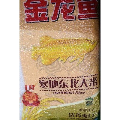 金龍魚吃什么食料長得快些