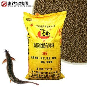 龍魚吃飼料好嗎怎么喂的 龍魚百科