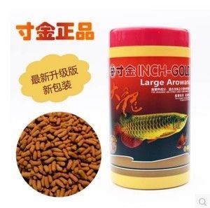 龍魚吃什么魚糧最好養(yǎng) 龍魚百科