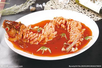 金龍魚吃什么最好養(yǎng)活 龍魚百科