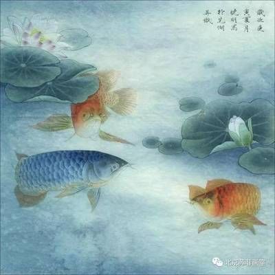 紅色龍魚畫適合掛在哪里呢