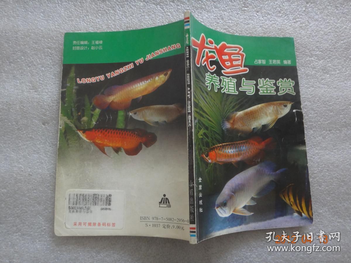 龍魚的鑒賞標(biāo)準(zhǔn)9方面 龍魚百科