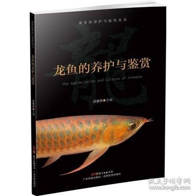 龍魚的養(yǎng)殖技術(shù)有哪些方法