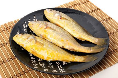 30cm龍魚吃多少 龍魚百科