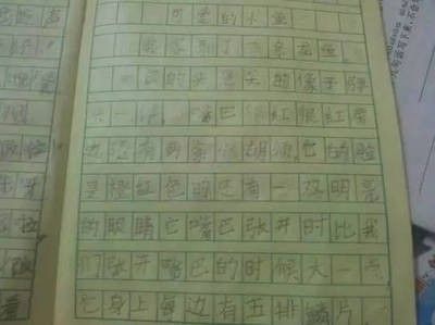 龍魚的選擇與鑒賞作文500字怎么寫 龍魚百科