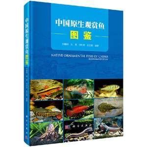 龍魚的養(yǎng)殖技術(shù)與管理論文 龍魚百科