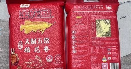 2020年金龍魚下架的真正原因 龍魚百科