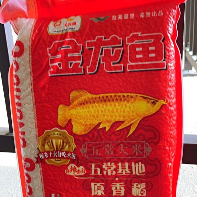 金龍魚吃什么魚最好吃