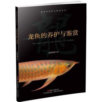 龍魚的養(yǎng)護與鑒賞作文300字左右 龍魚百科