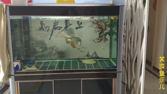 精養(yǎng)龍魚缸尺寸