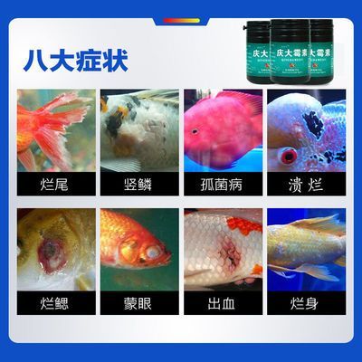 金龍魚水霉病用土霉素好使嗎 龍魚百科