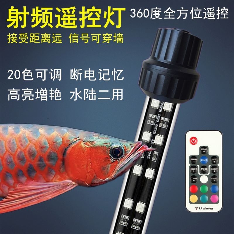 紅龍魚(yú)要用什么燈管最好看