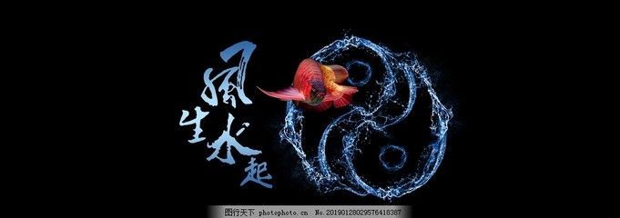 紅龍魚魚缸背景