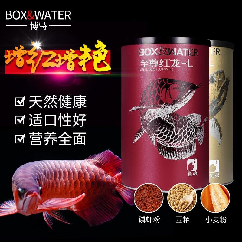 30公分紅龍魚每天喂多少魚糧