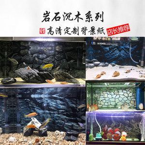 紅龍魚魚缸背景圖怎么選